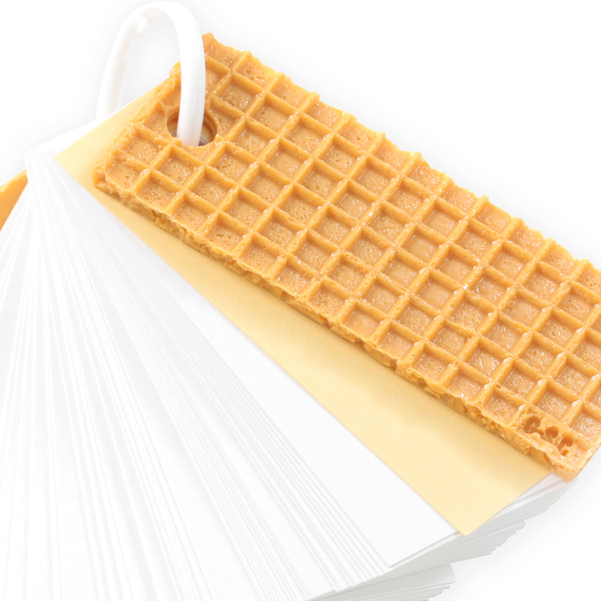 Vocabulary wafer