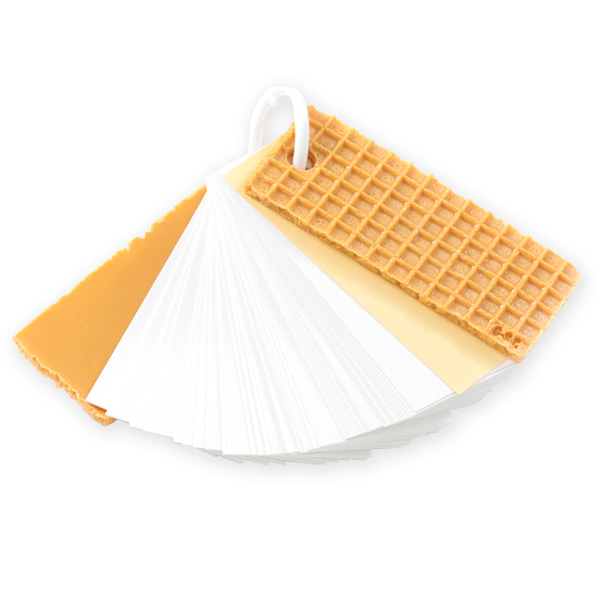 Vocabulary wafer