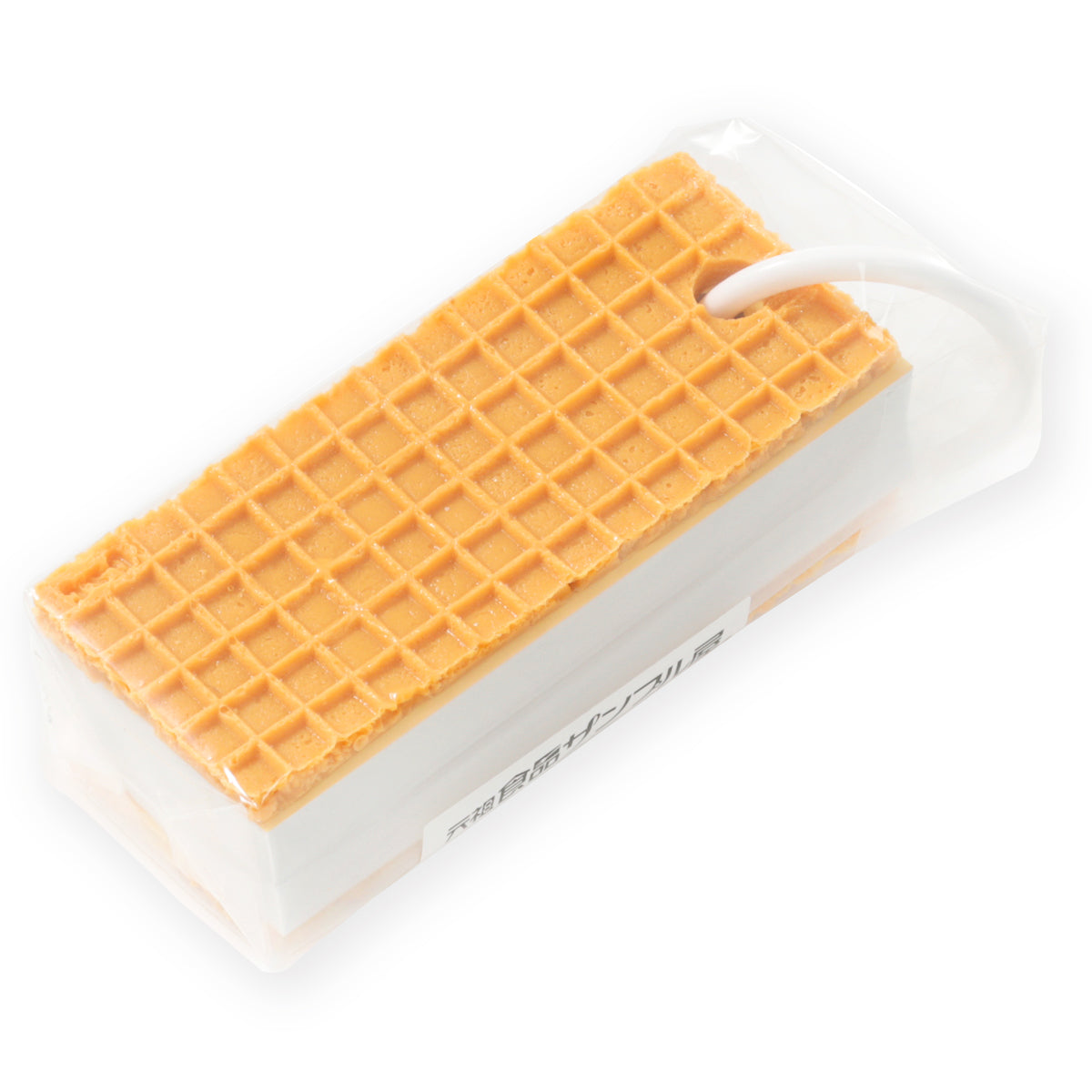 Vocabulary wafer