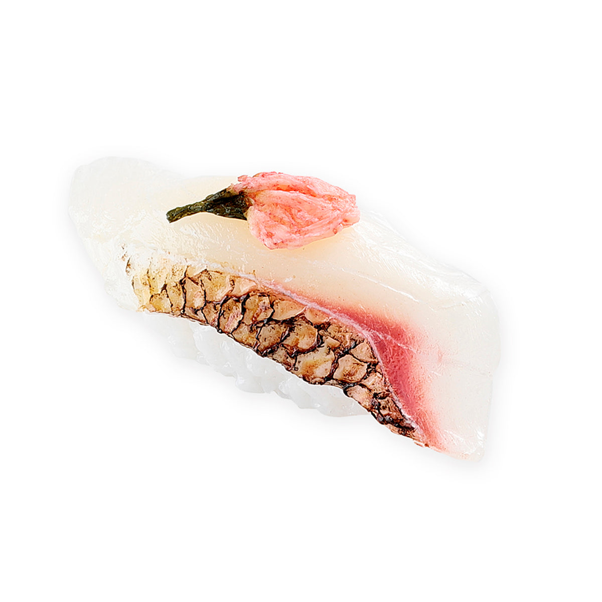 【桜限定】マグネット 寿司 桜鯛