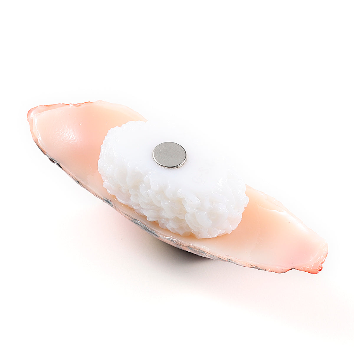 マグネット 寿司 アジ