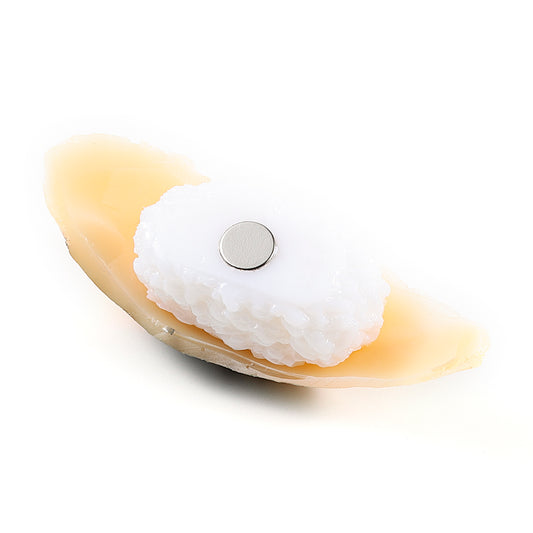 マグネット 寿司 サバ