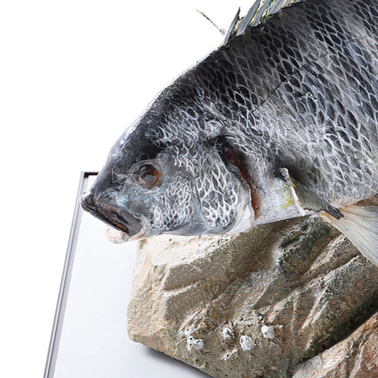 ハンドメイドフィッシュクロダイ