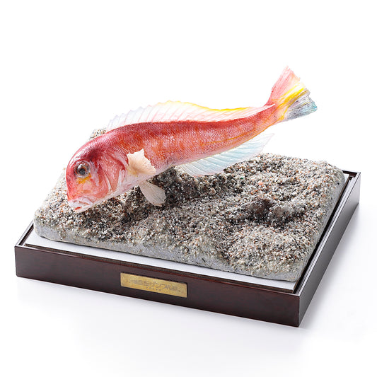 ハンドメイドフィッシュアマダイ