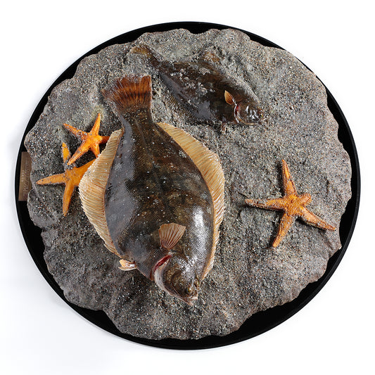 ハンドメイドフィッシュカレイ