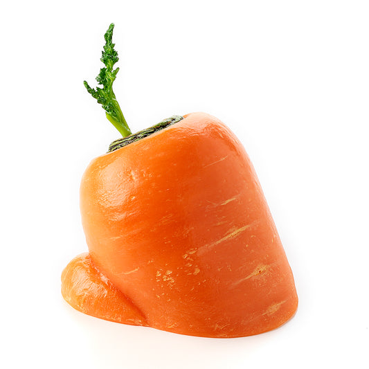 【食品サンプルの日限定】這い上がりたい にんじんペン立て