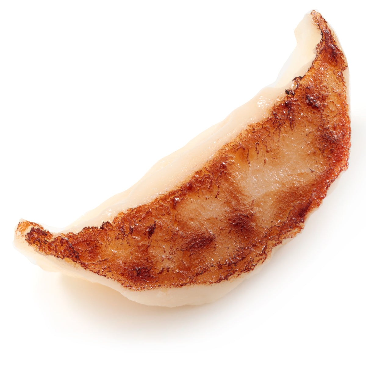 Magnet Pan-Fried Dumplings (Round)