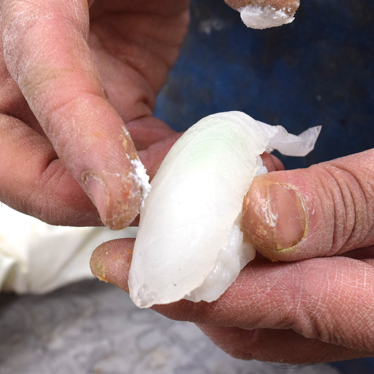 にぎり寿司 ゲタ