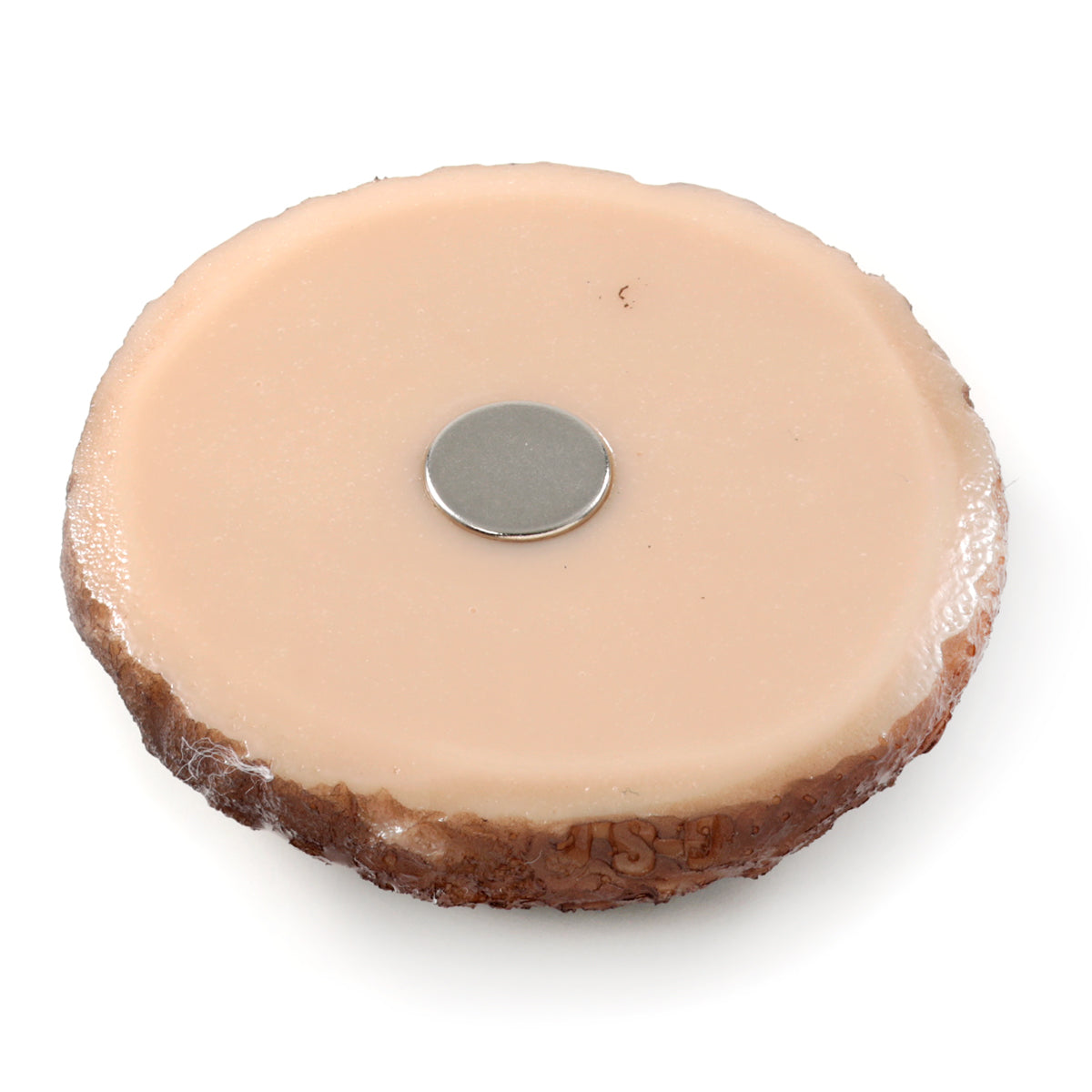 マグネット しいたけ