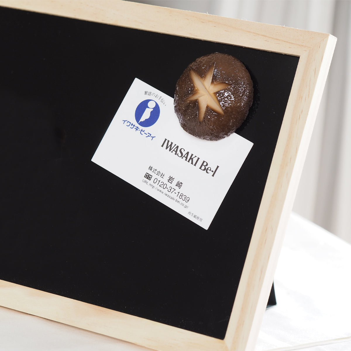 マグネット しいたけ