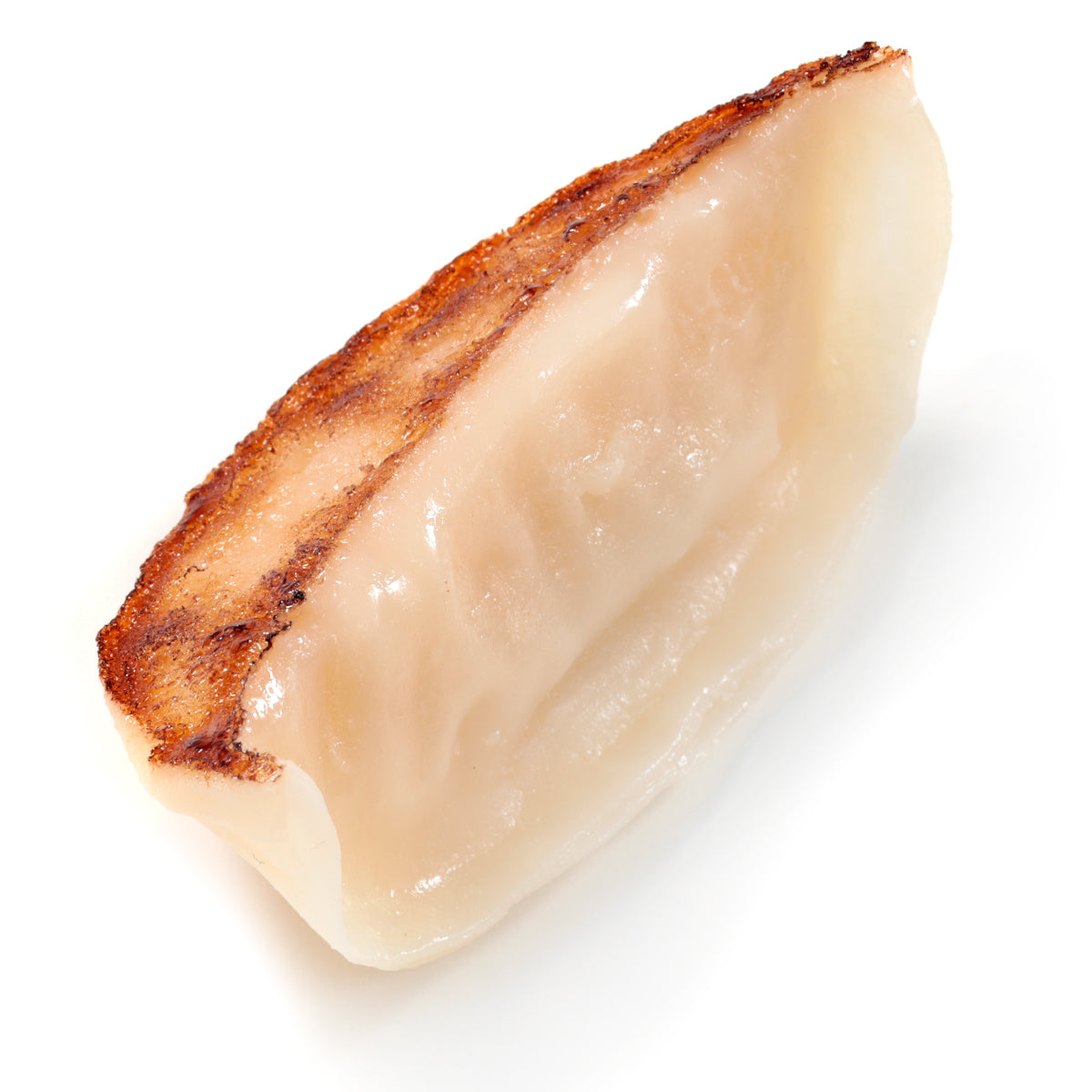 Magnet Pan-Fried Dumplings (Round)