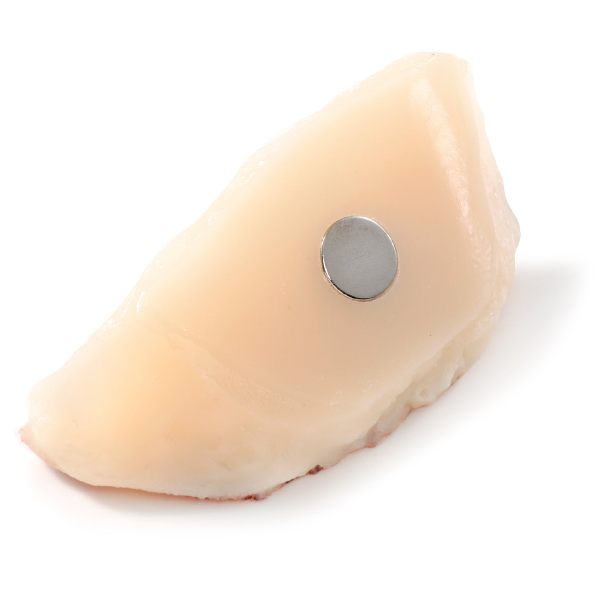 Magnet Pan-Fried Dumplings (Round)