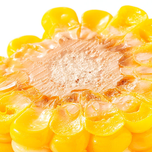 マグネット とうもろこし輪切り