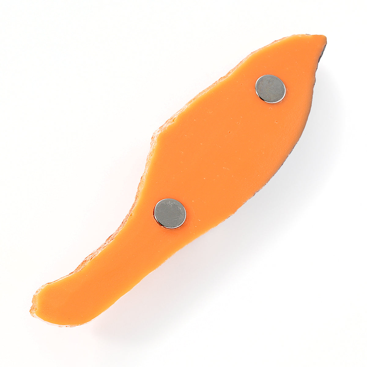 Grilled Salmon Magnet