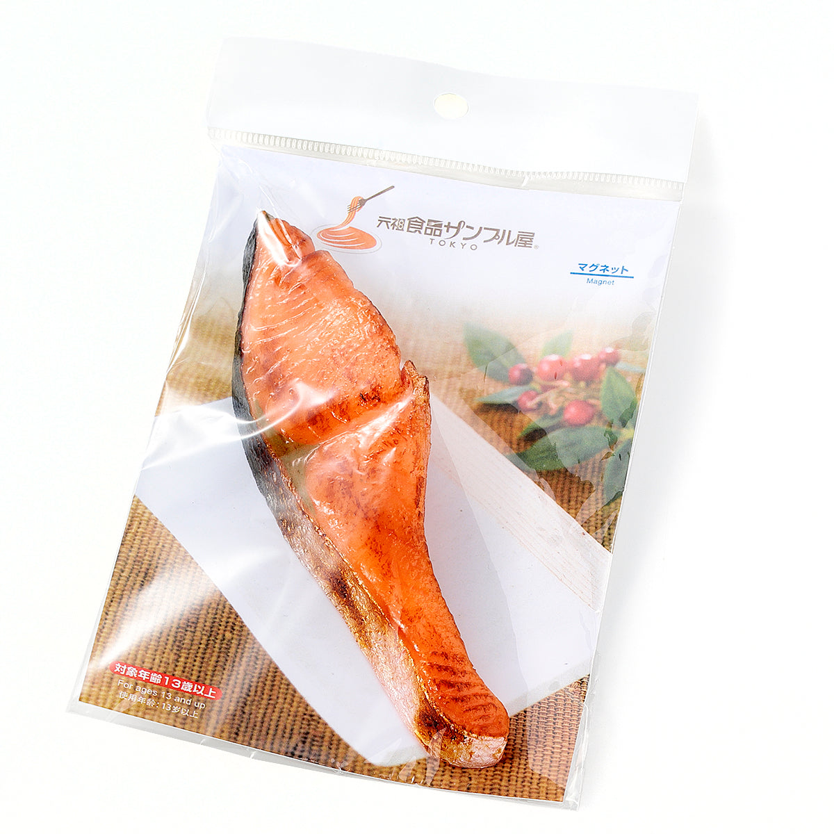 Grilled Salmon Magnet