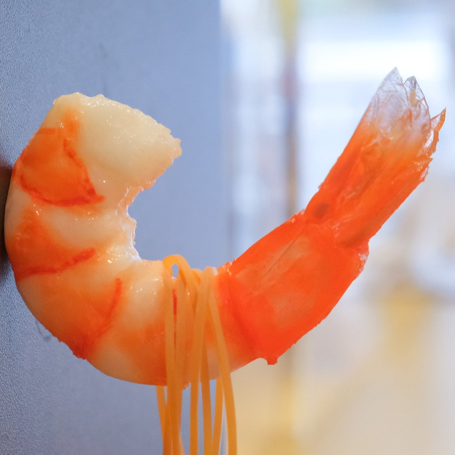 マグネット 海老フック