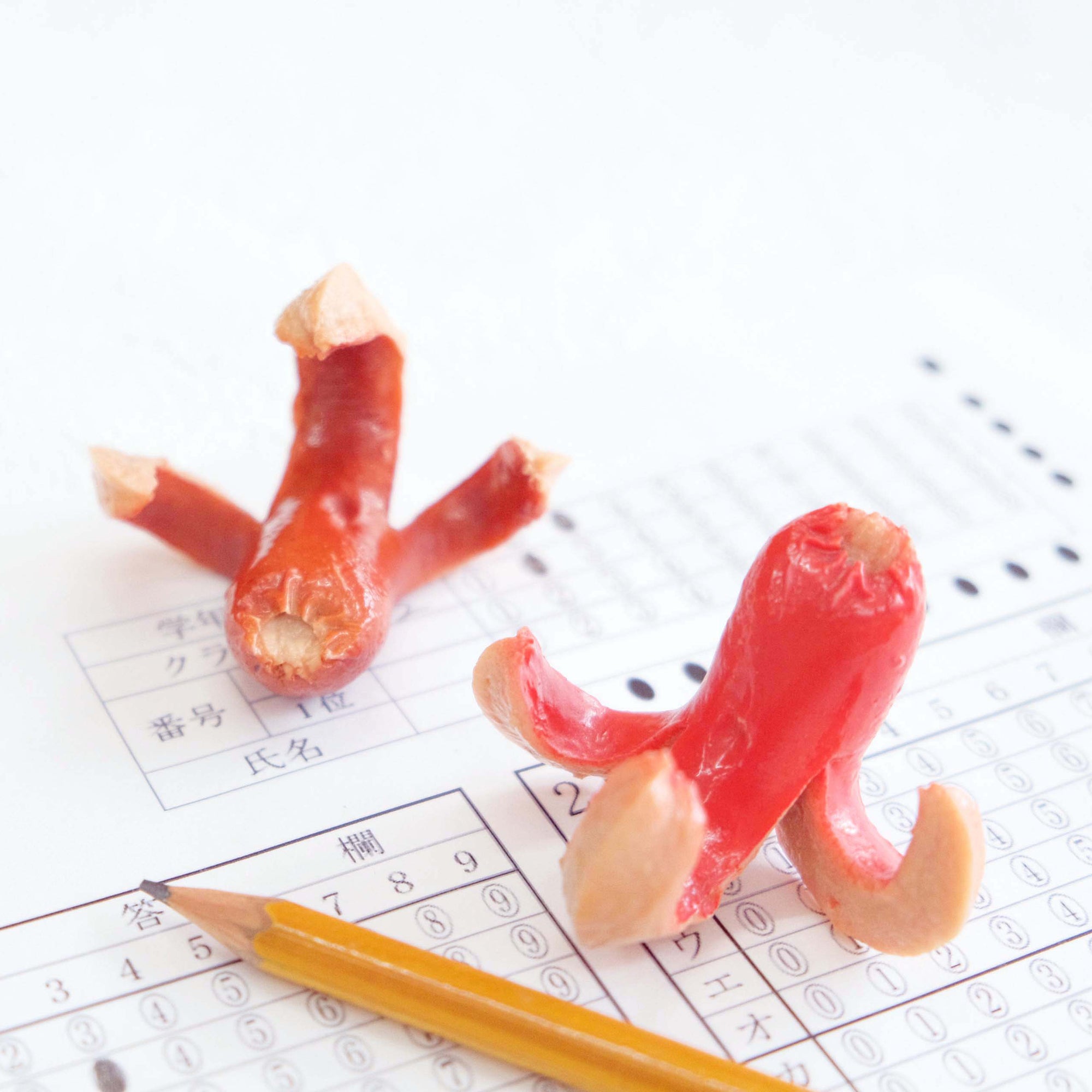 これは元祖食品サンプル屋の「マグネット タコウインナーフック」の商品イメージ画像です。