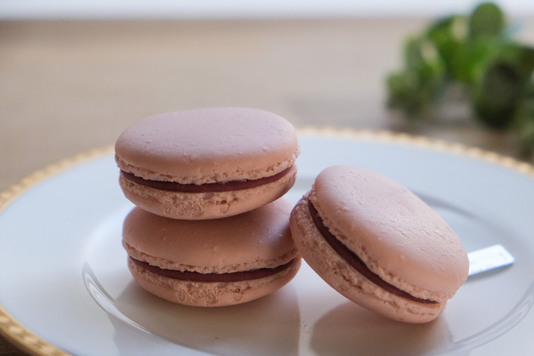 食品サンプル「【いちご限定】キーリング マカロンフレーズ -いちご