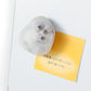 【季節限定】マグネット アザラシ大福