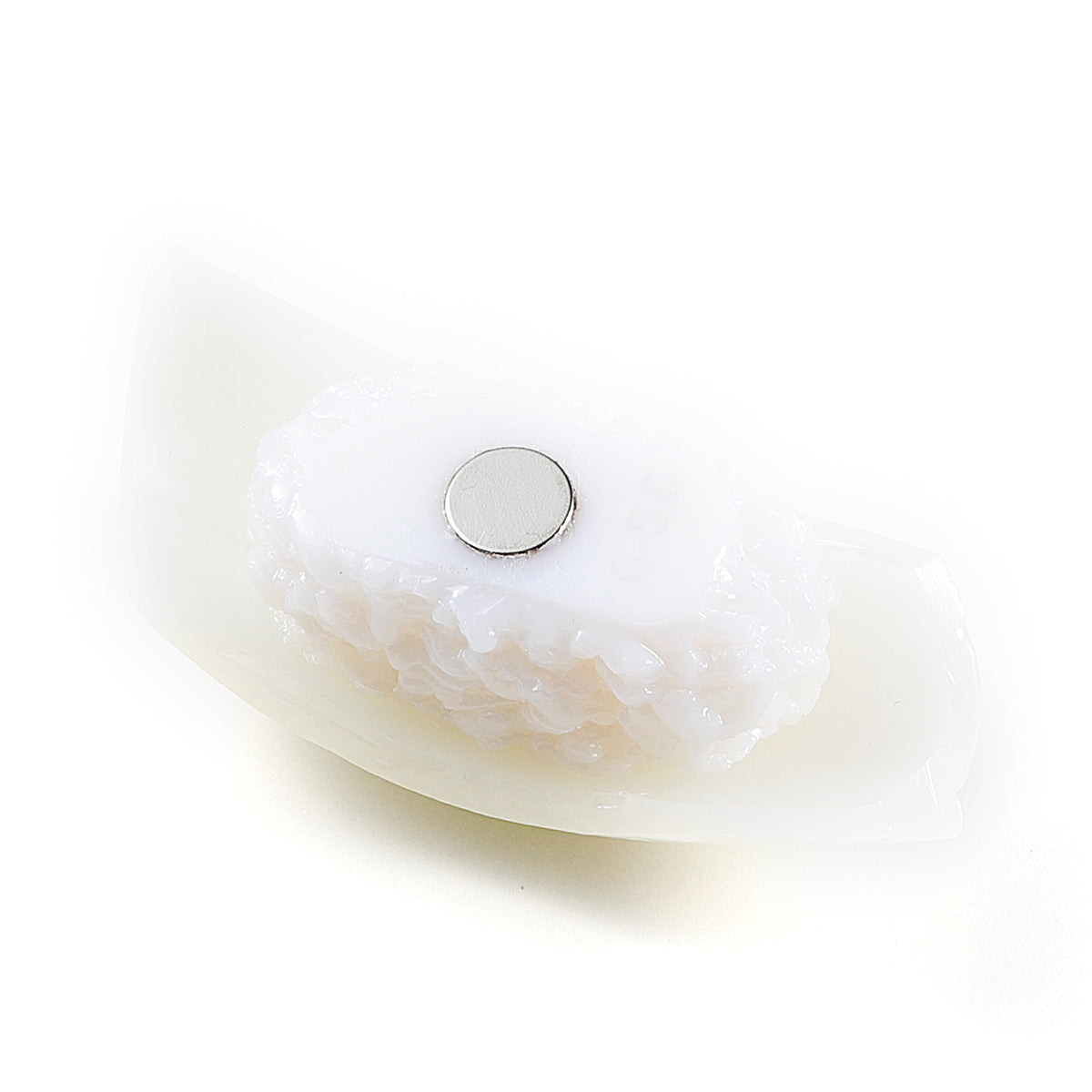 マグネット 寿司 イカ(サビ)