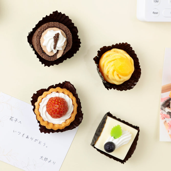 Assorted Mini Cake Magnets (4 types)
