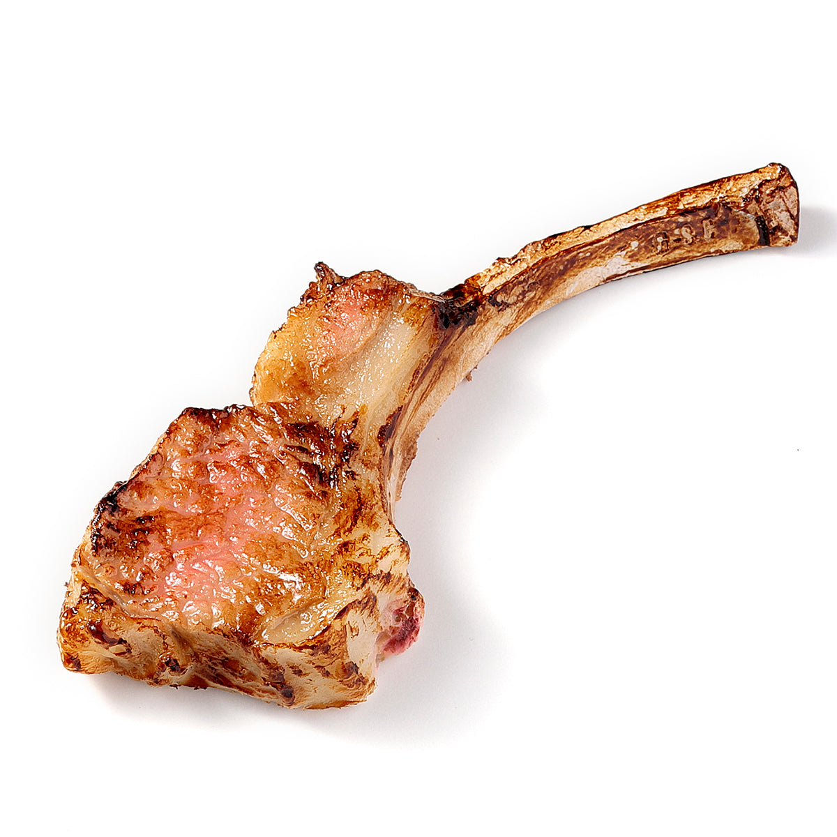 Magnet Lamb Chop
