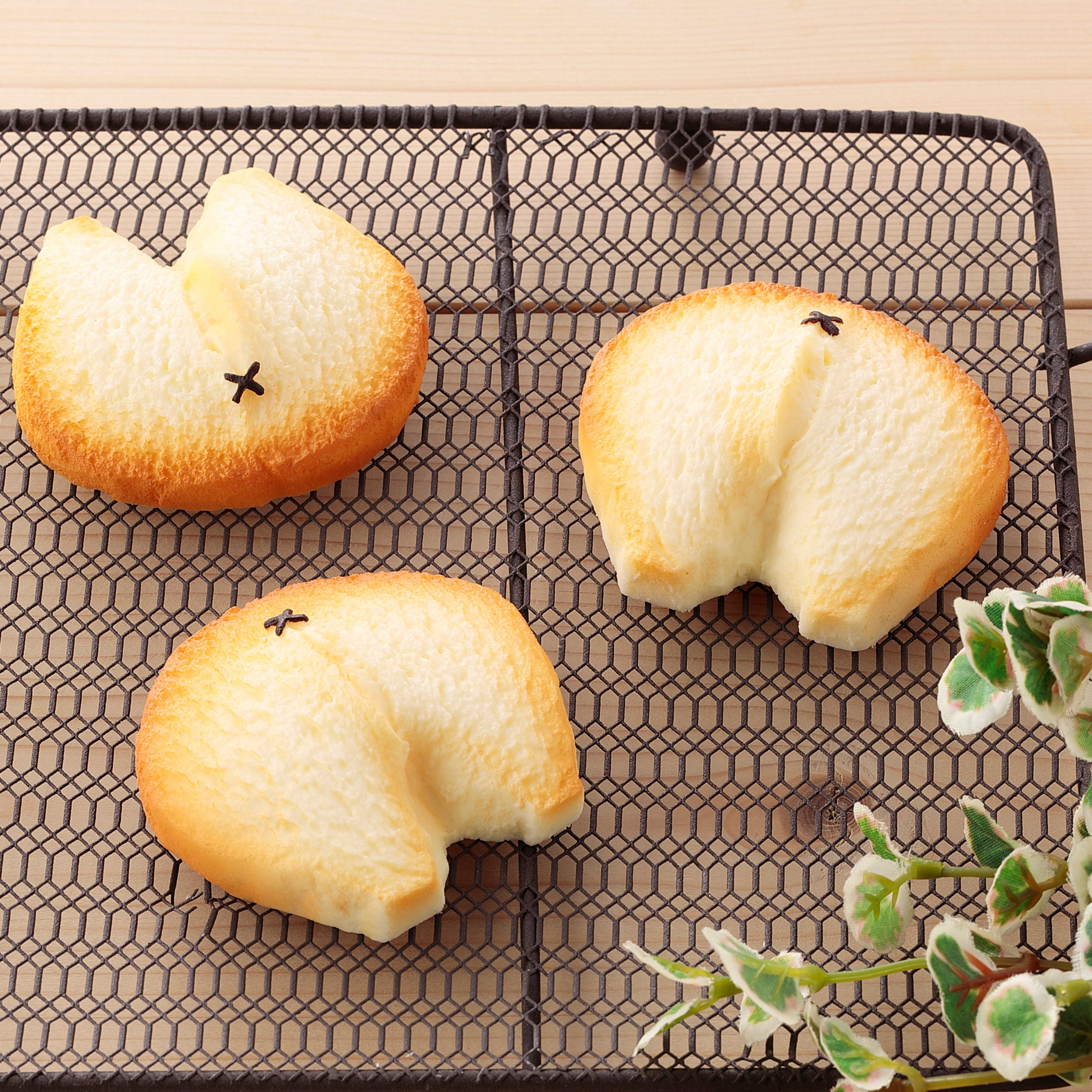 【犬限定】マグネット コーギーのおしりクッキー