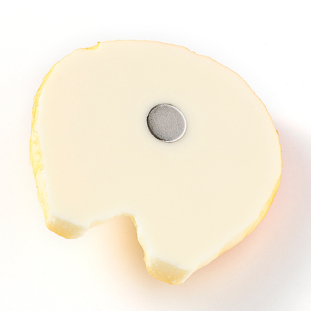 【犬限定】マグネット コーギーのおしりクッキー