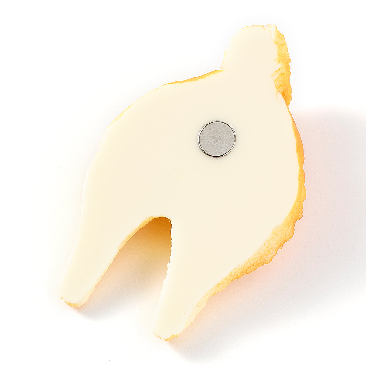 【犬限定】マグネット 柴犬のおしりクッキー