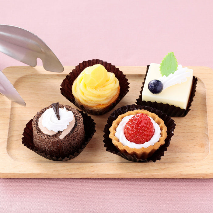 Assorted Mini Cake Magnets (4 types)