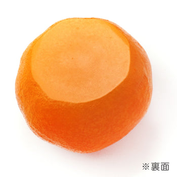 これは元祖食品サンプル屋の「みかん ペン立て」の商品裏面画像です。
