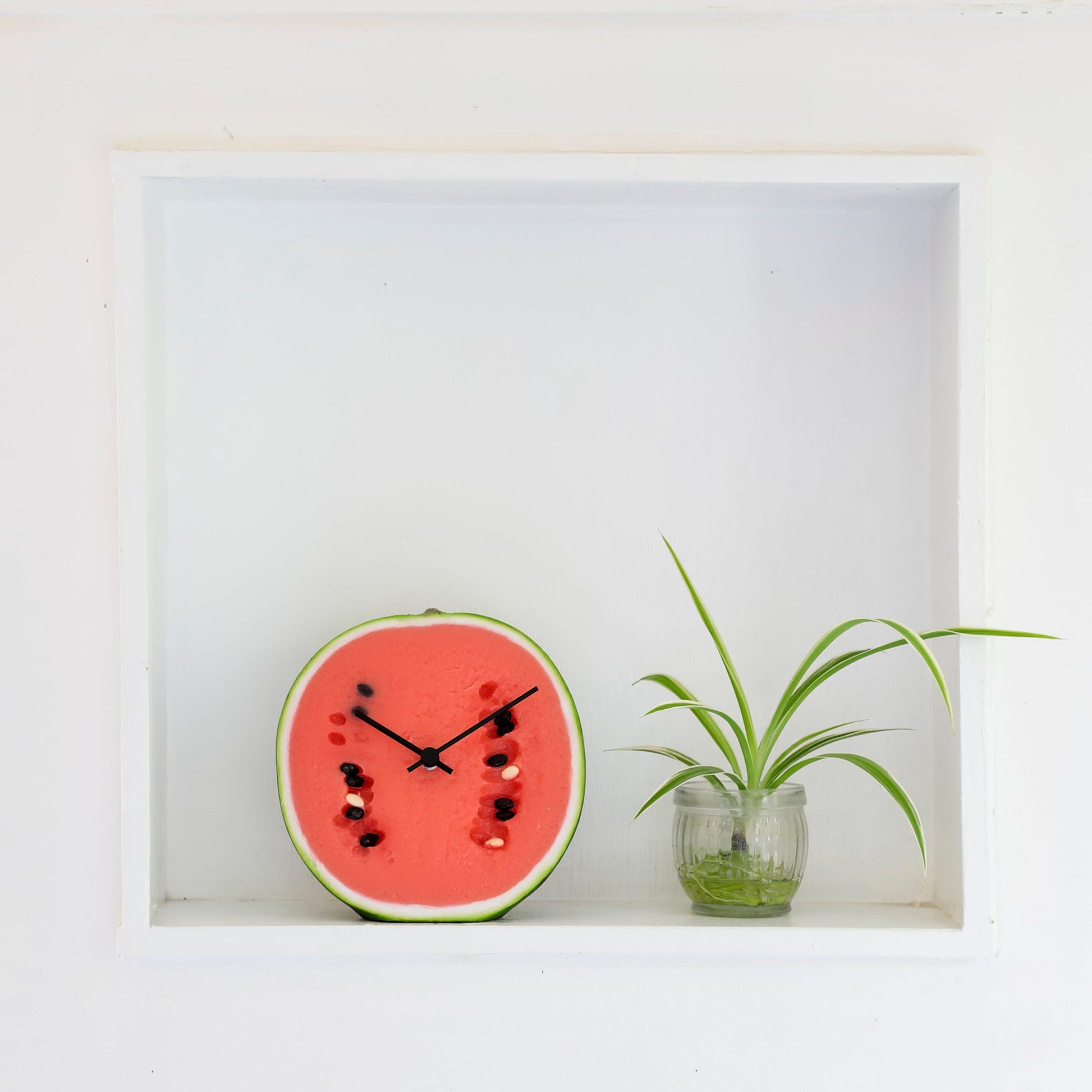これは元祖食品サンプル屋「Replica Food Clock スイカ 」の植物の隣に置いたイメージ写真です。