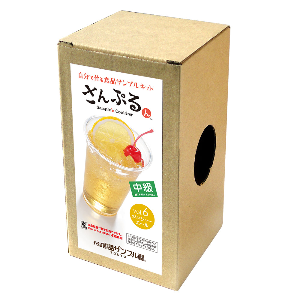 これは自分でつくる食品サンプルキット「さんぷるん ドリンクVol.6 ジンジャーエール」の外箱の写真です。